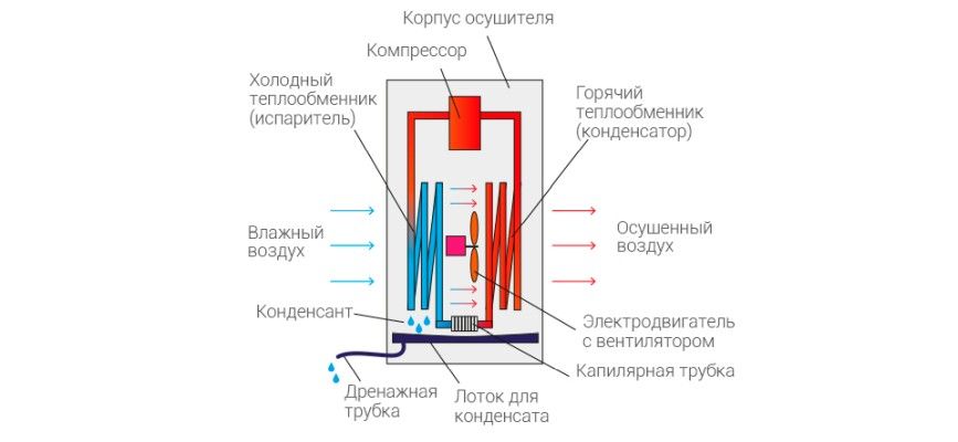 Почему важно использовать не только увлажнители, но и осушители воздуха