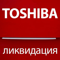 Ликвидация остатков полупромышленных систем TOSHIBA